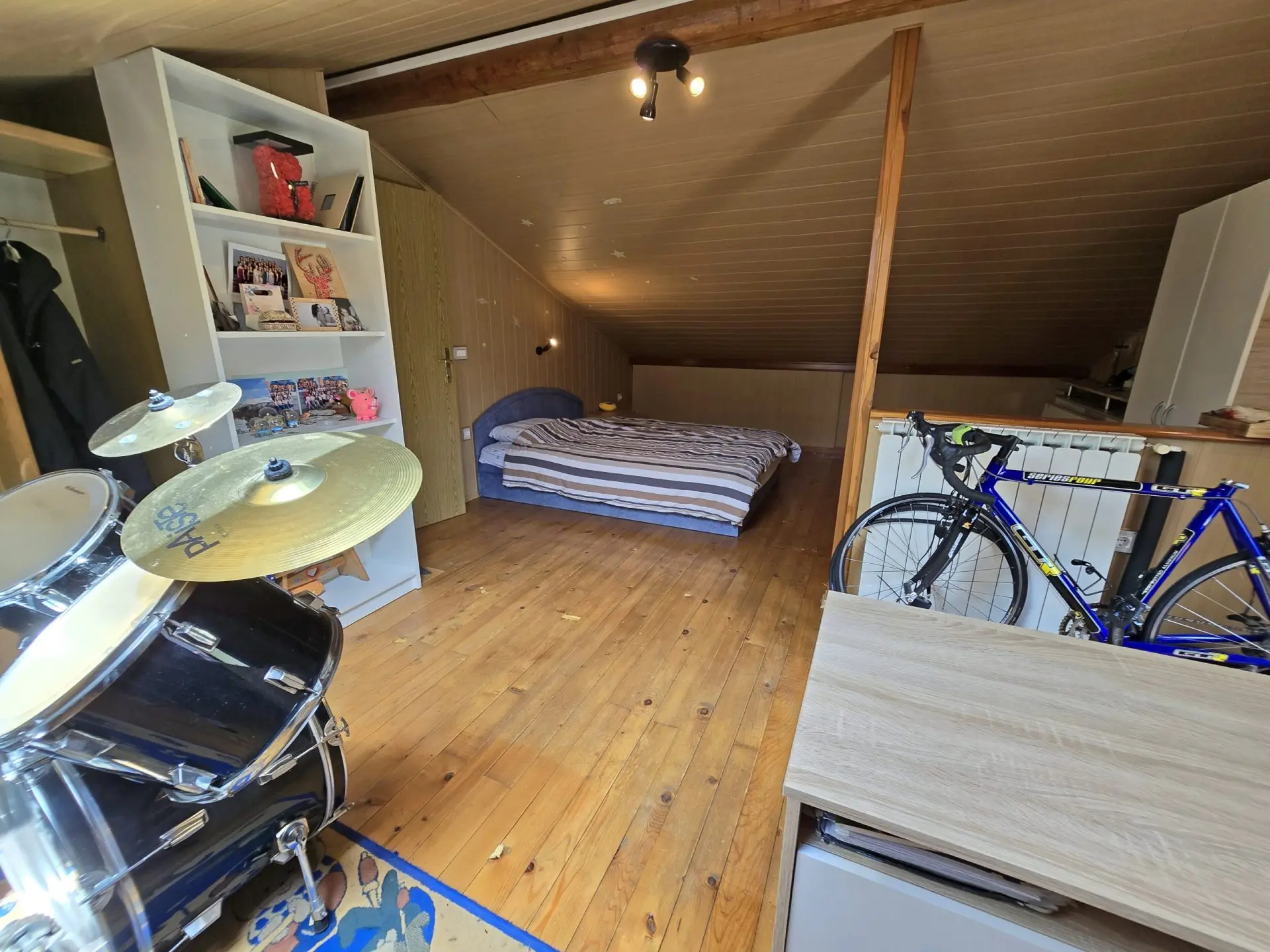 Soca Area – Kobarid, Spacious house with commercial space