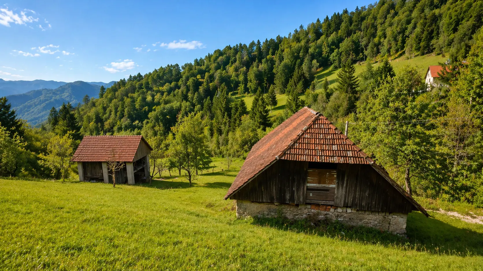 19-1-1 Idrija Area – Beautiful Estate Above Spodnja Idrija