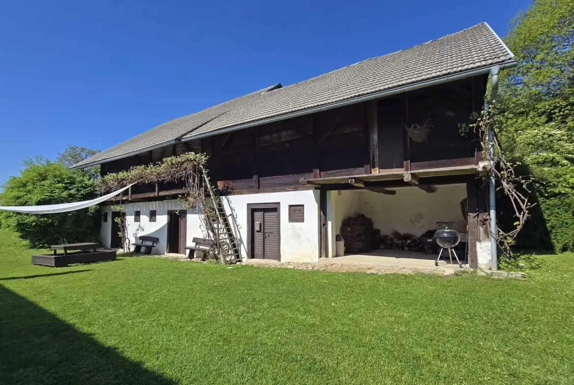 Ljubljana surroundings – a beautiful, restored farmhouse, 30 min from Ljubljana
