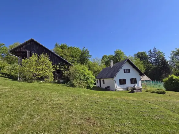 Ljubljana surroundings – a beautiful, restored farmhouse, 30 min from Ljubljana