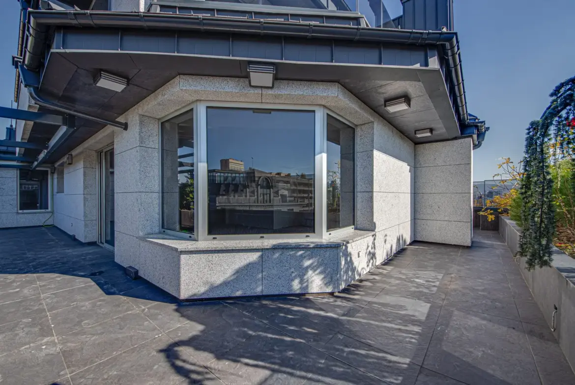 Luxury penthouse in Iztok for sale