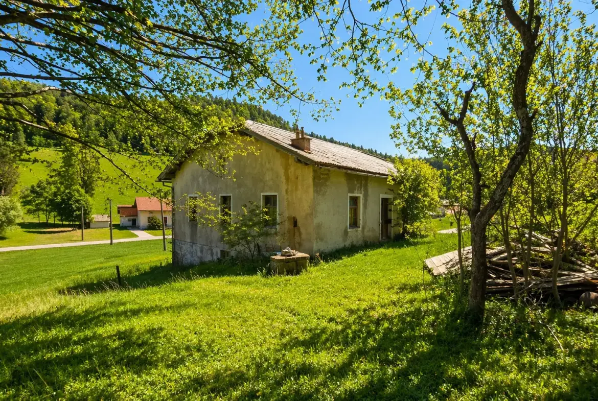 Nova Gorica area – Sweet cottage for renovation in Lokve