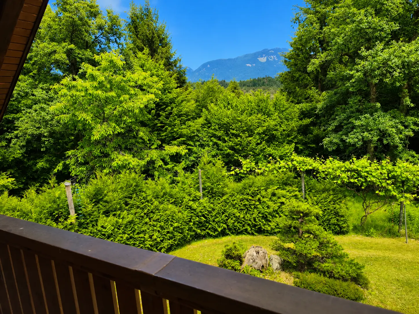 2-1 Bled area – Idyllic Detached Cottage in a Forest Clearing