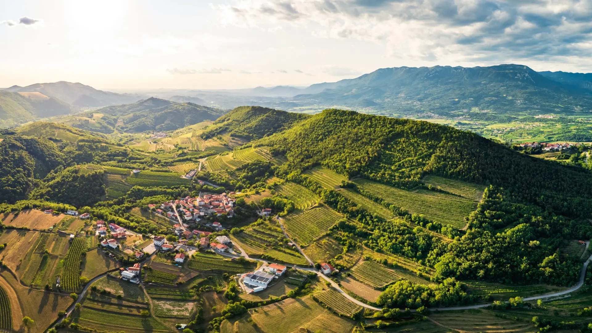 Vipava Valley – Exclusive Wine Estate Investment Opportunity