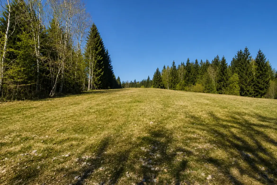 South Slovenia – Building Plot in Pristine Nature, Kočevje Area (Near Kostel)