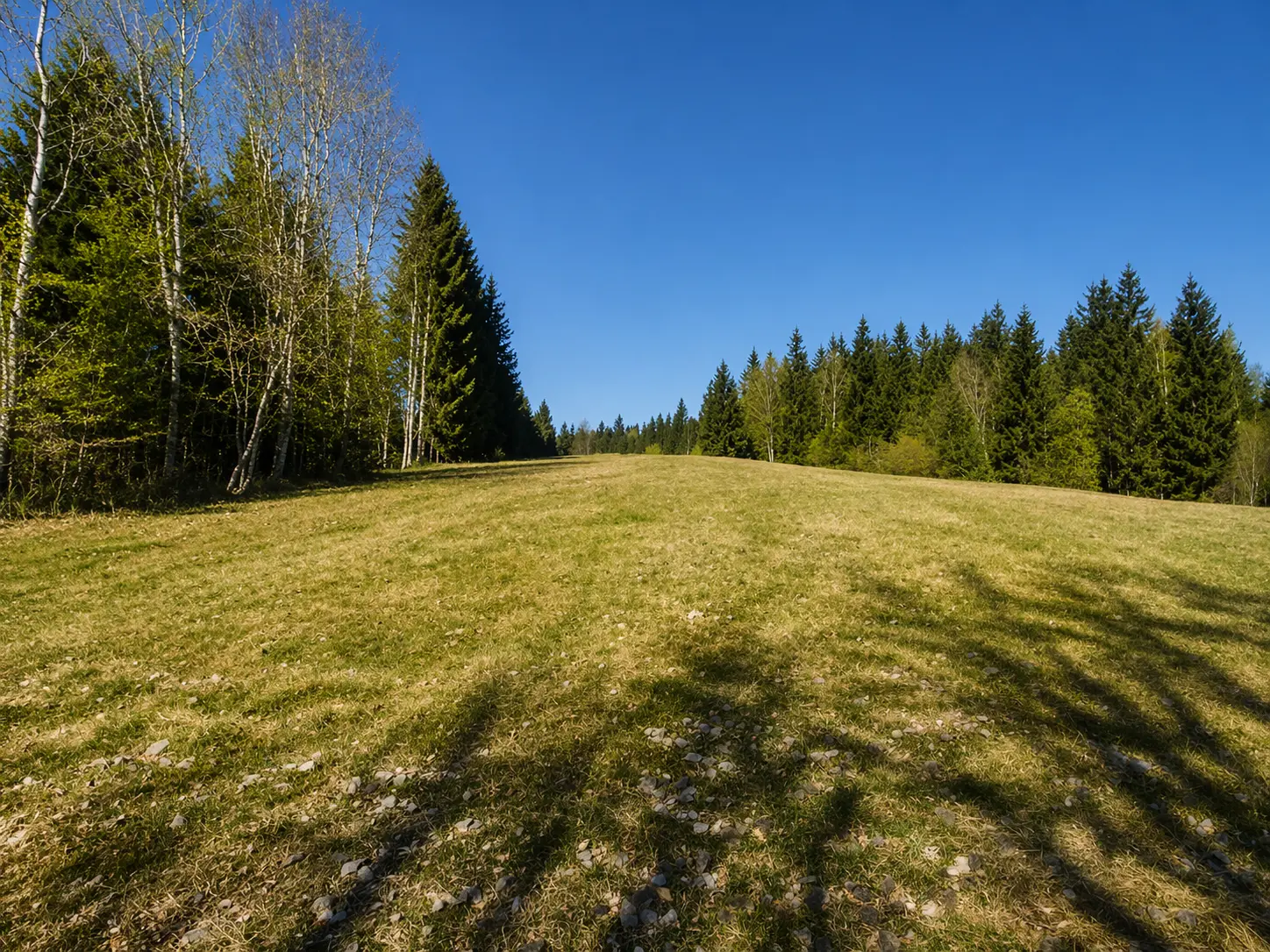 South Slovenia – Building Plot in Pristine Nature, Kočevje Area (Near Kostel)