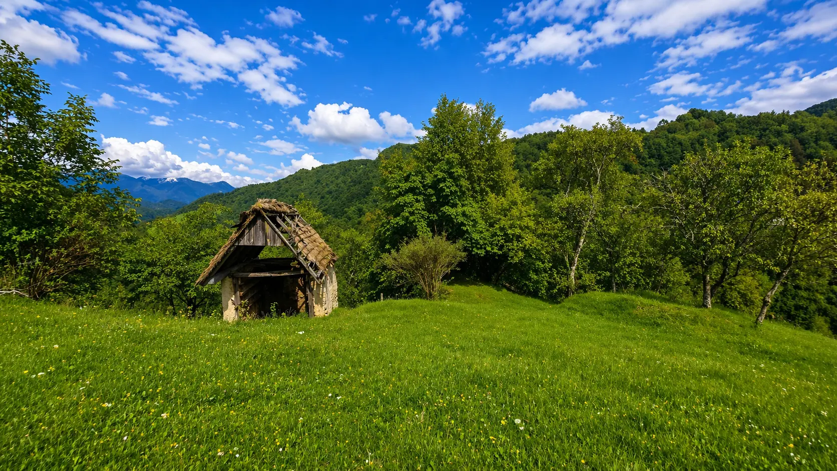 20-1 Idrija–Cerkno Area, Unique 40-Hectare Estate with Private Water Spring
