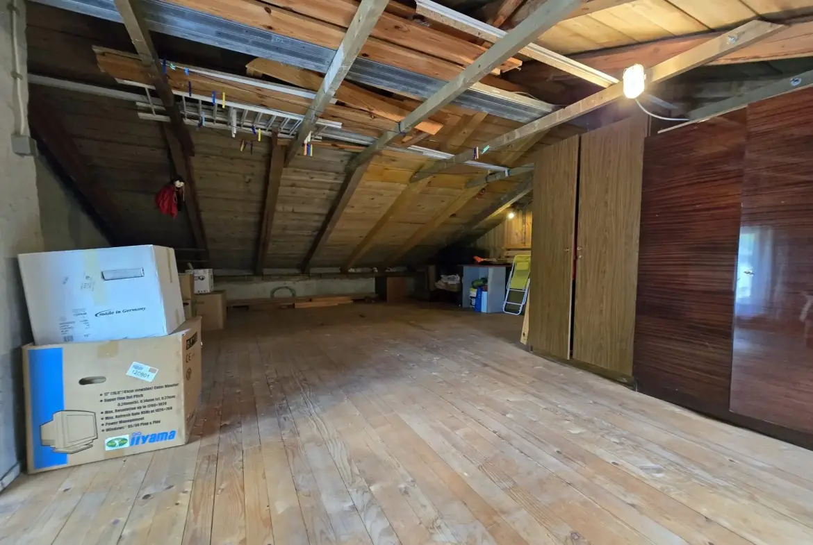 Soca Area – Kobarid, Spacious house with commercial space