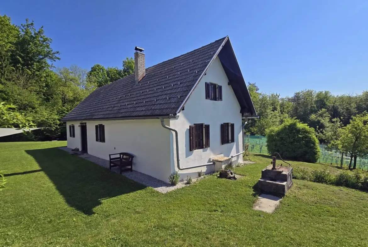 Ljubljana surroundings – a beautiful, restored farmhouse, 30 min from Ljubljana