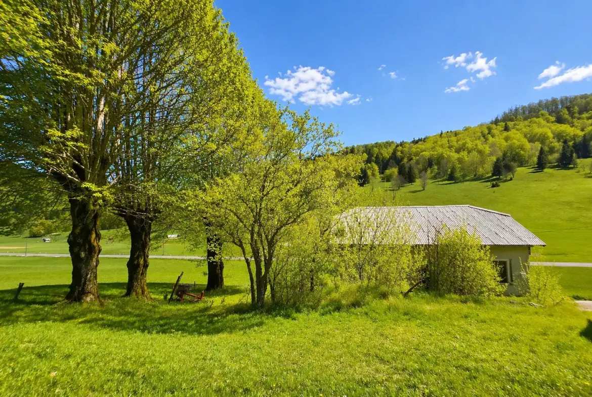 Nova Gorica area – Sweet cottage for renovation in Lokve