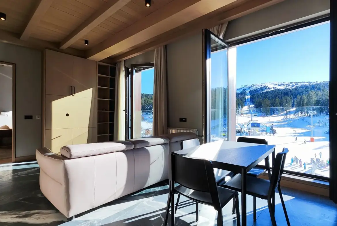 1-Bedroom Apartment, 46 m² – Nikole Tesle 12, Raska, Kopaonik