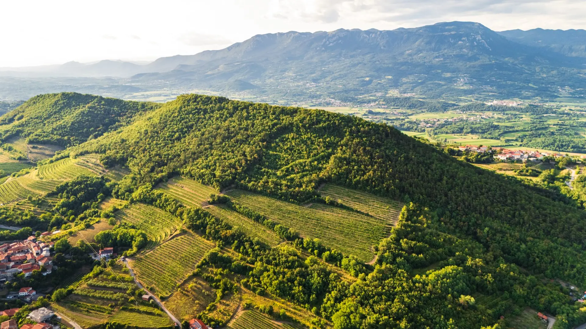 Vipava Valley – Exclusive Wine Estate Investment Opportunity