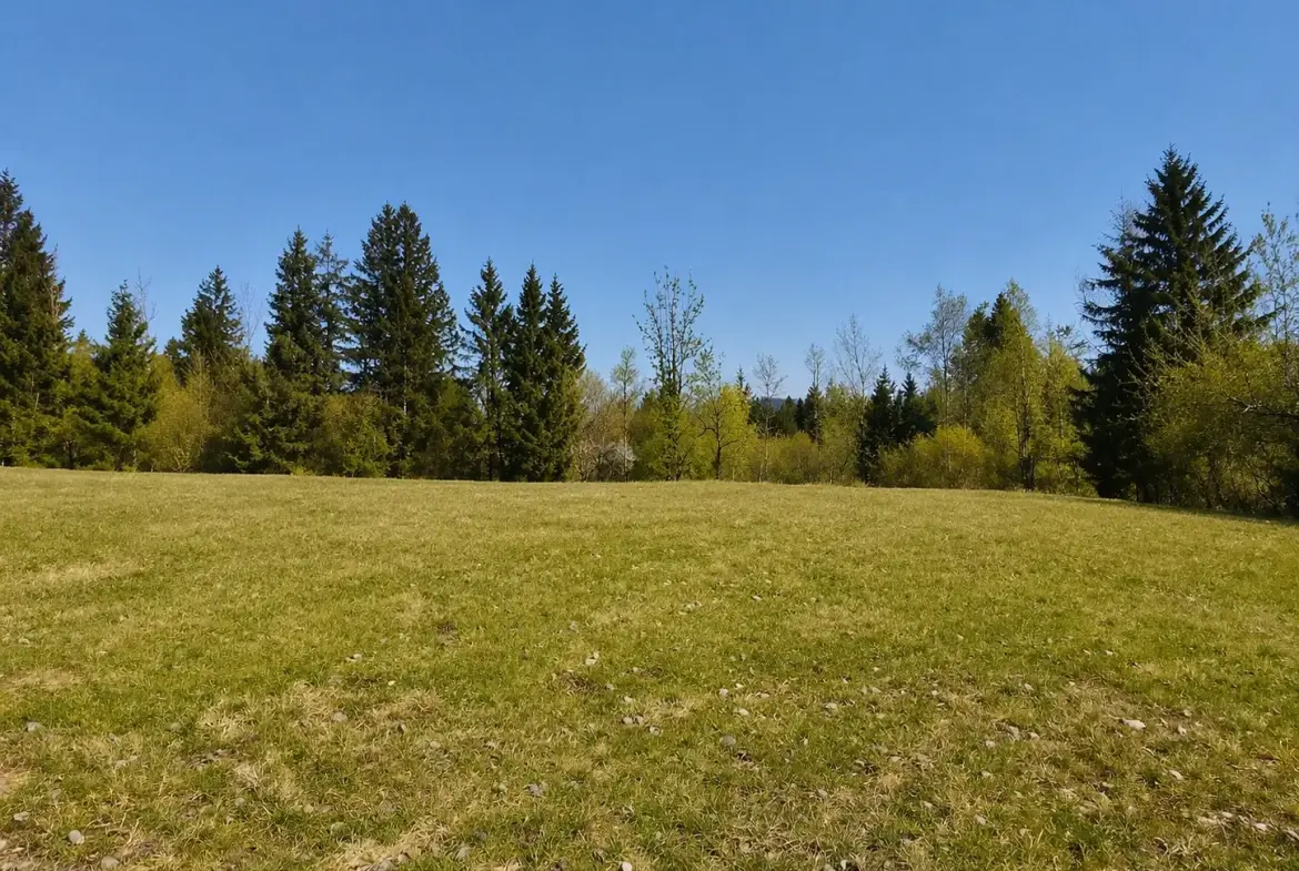 South Slovenia – Building Plot in Pristine Nature, Kočevje Area (Near Kostel)