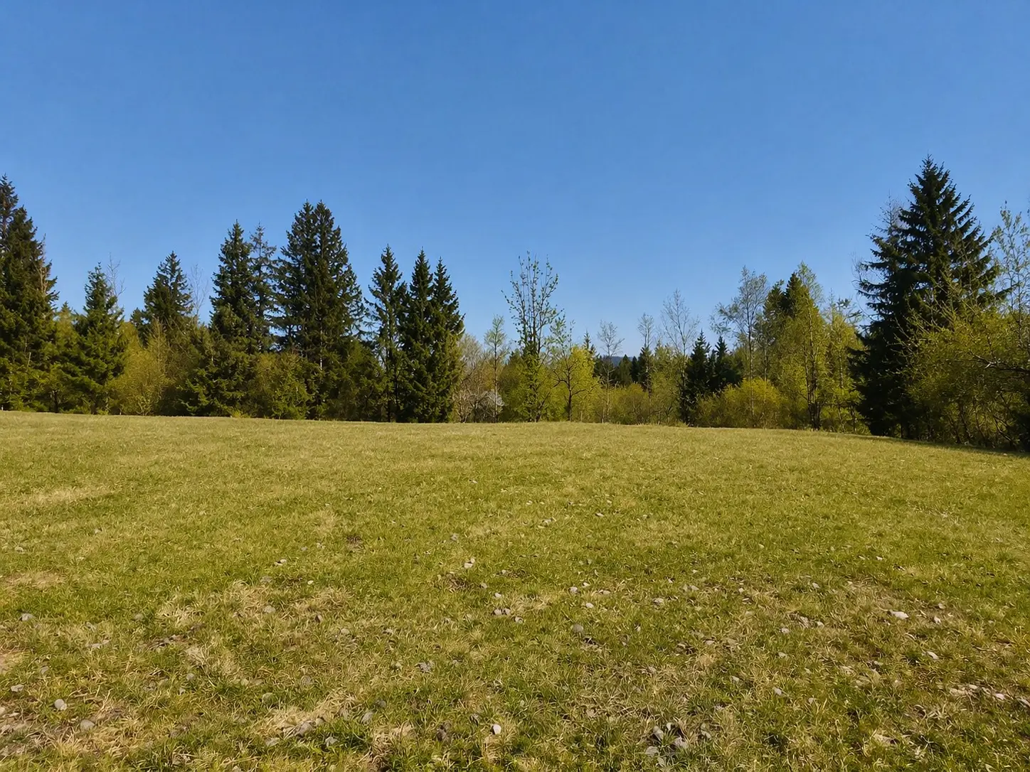 South Slovenia – Building Plot in Pristine Nature, Kočevje Area (Near Kostel)