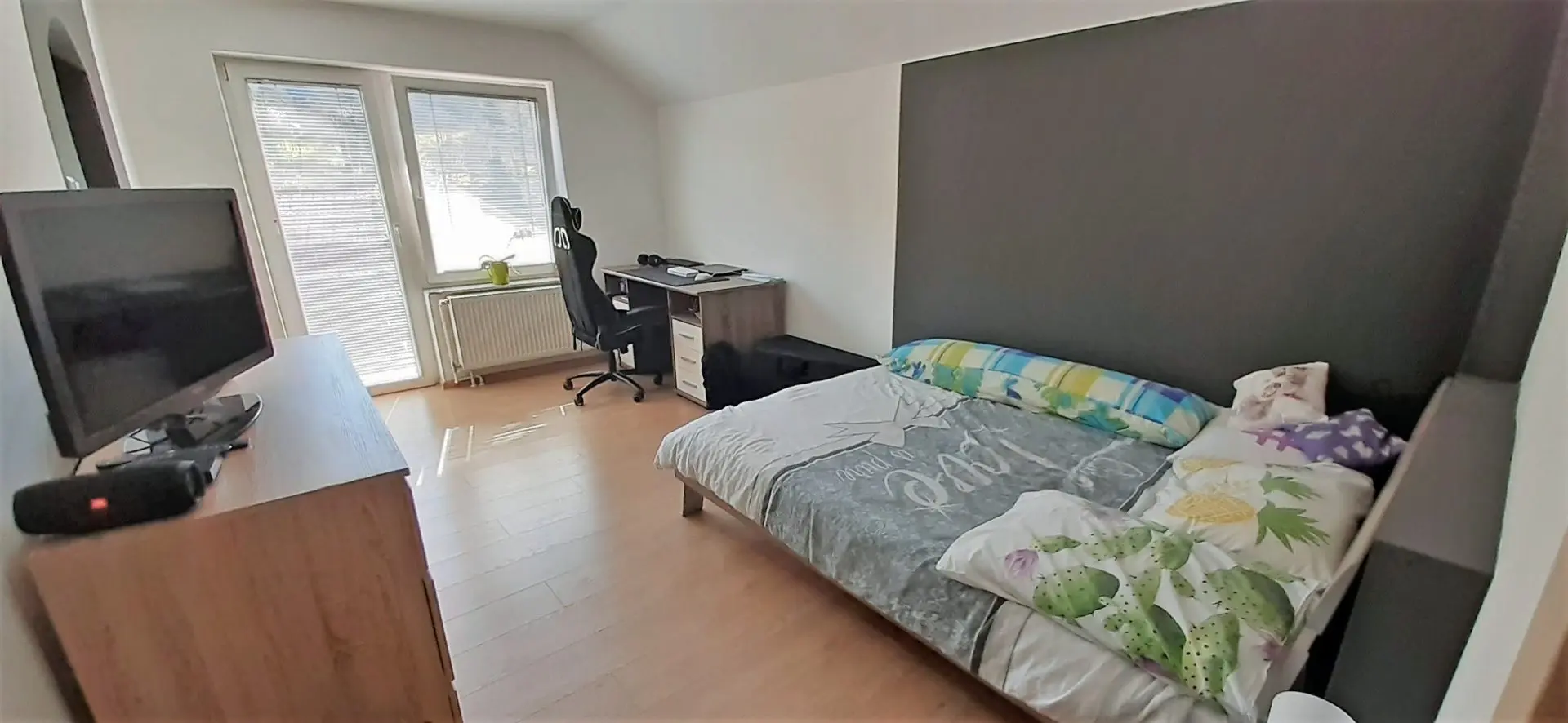 Celje area – Spacious business residential house near thermal spa Dobrna