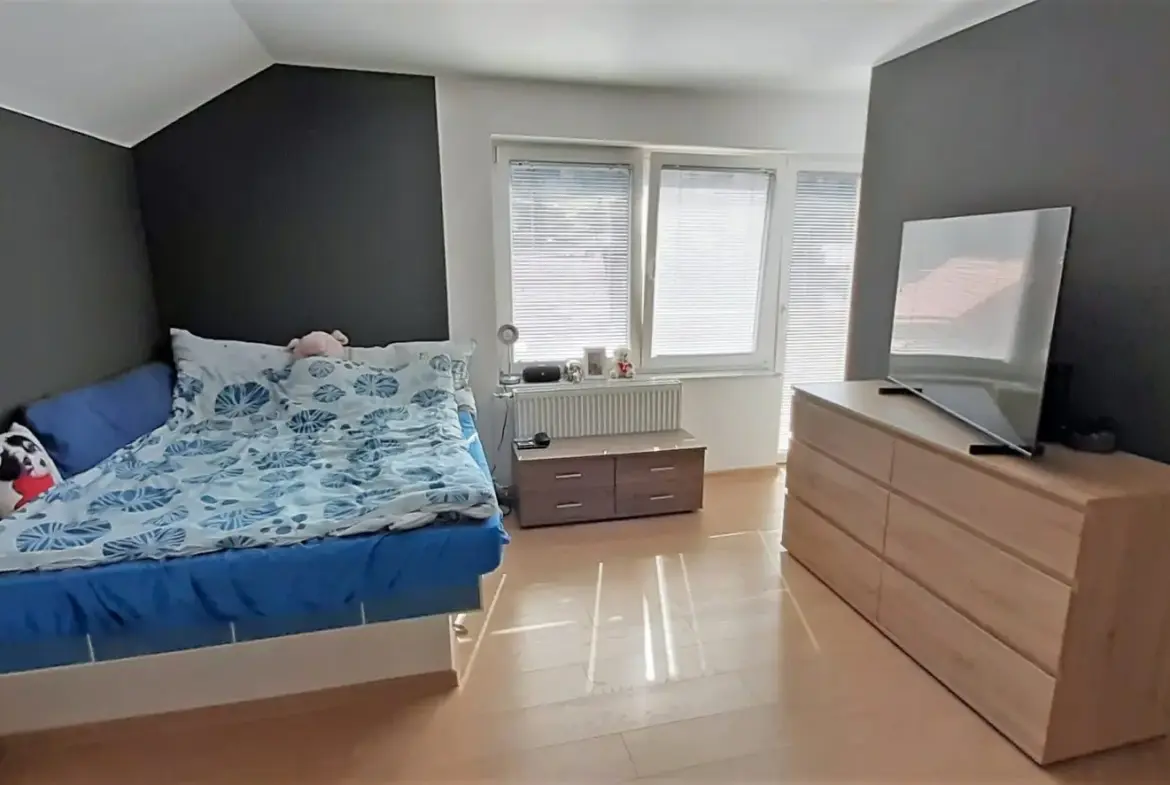 Celje area – Spacious business residential house near thermal spa Dobrna