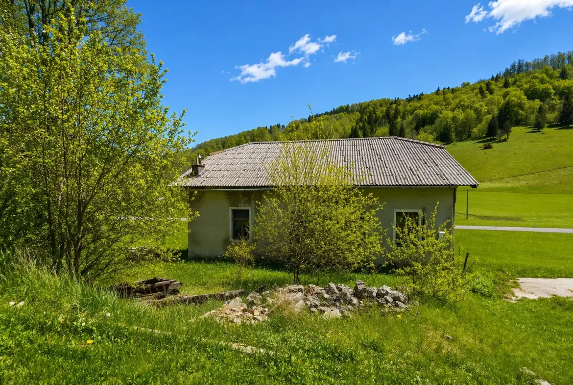 Nova Gorica area – Sweet cottage for renovation in Lokve