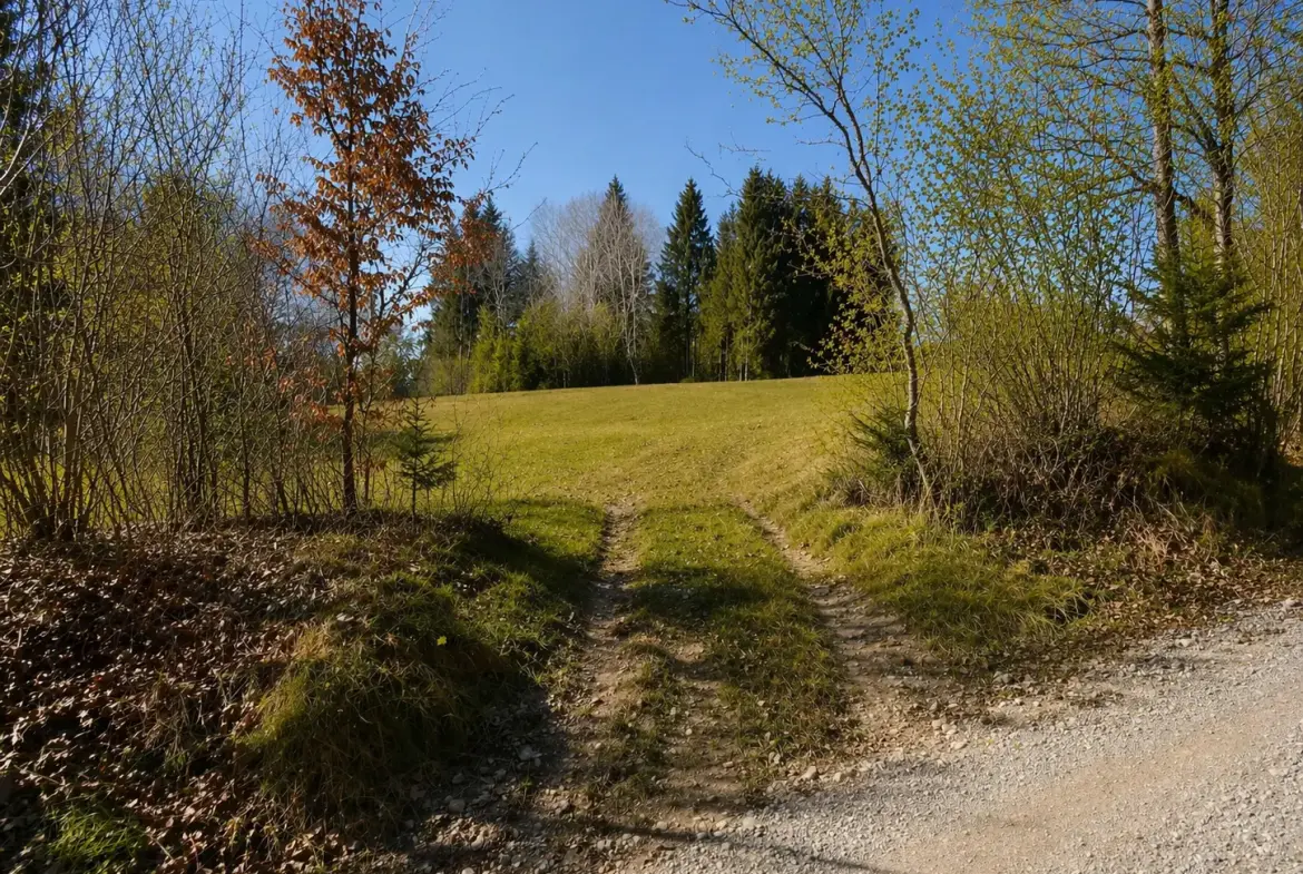 South Slovenia – Building Plot in Pristine Nature, Kočevje Area (Near Kostel)