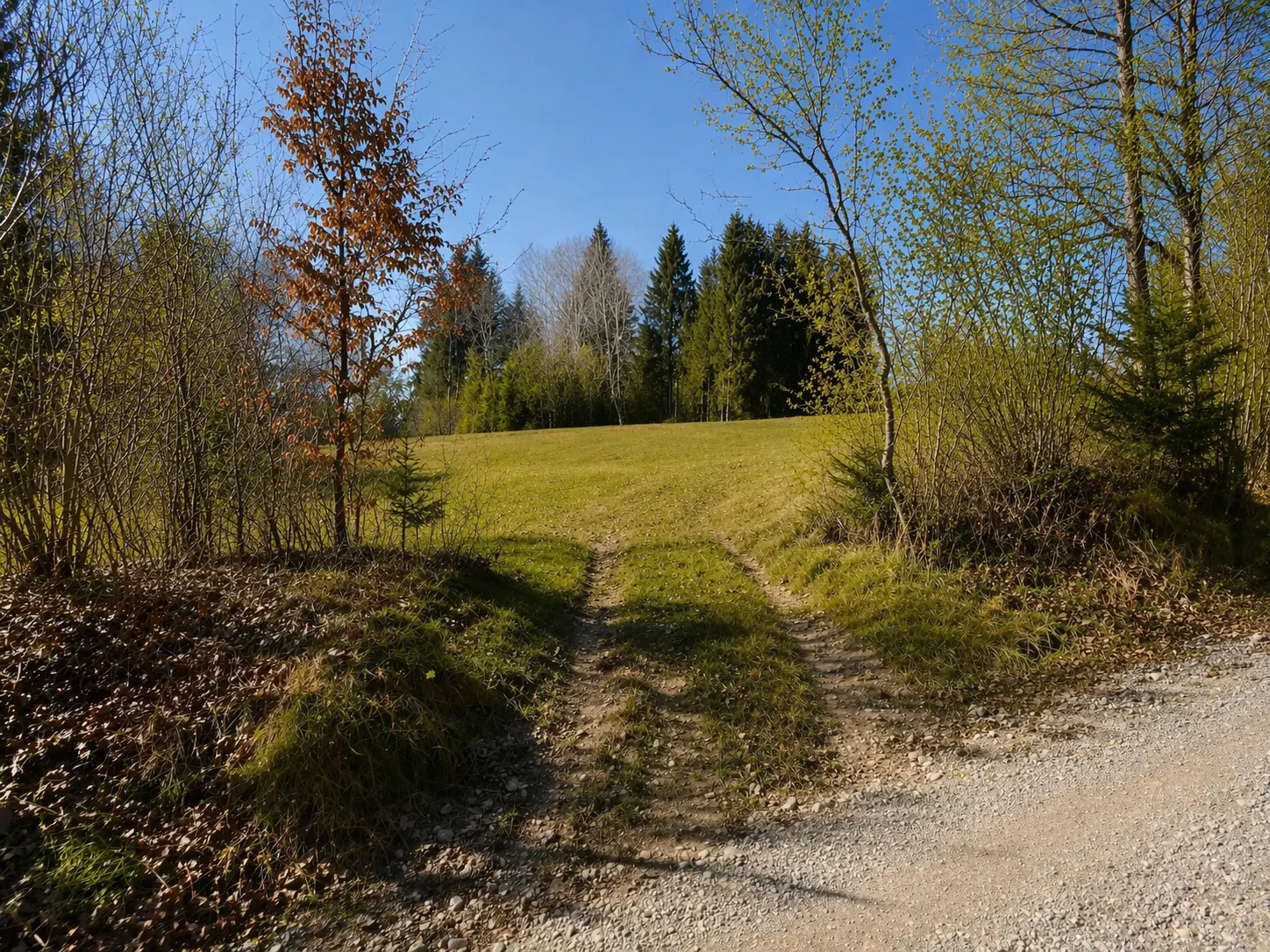South Slovenia – Building Plot in Pristine Nature, Kočevje Area (Near Kostel)