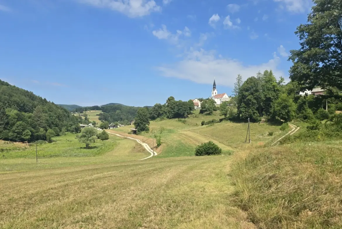 Ljubljana Area – Exceptional Country Estate with 5.5 Hectares