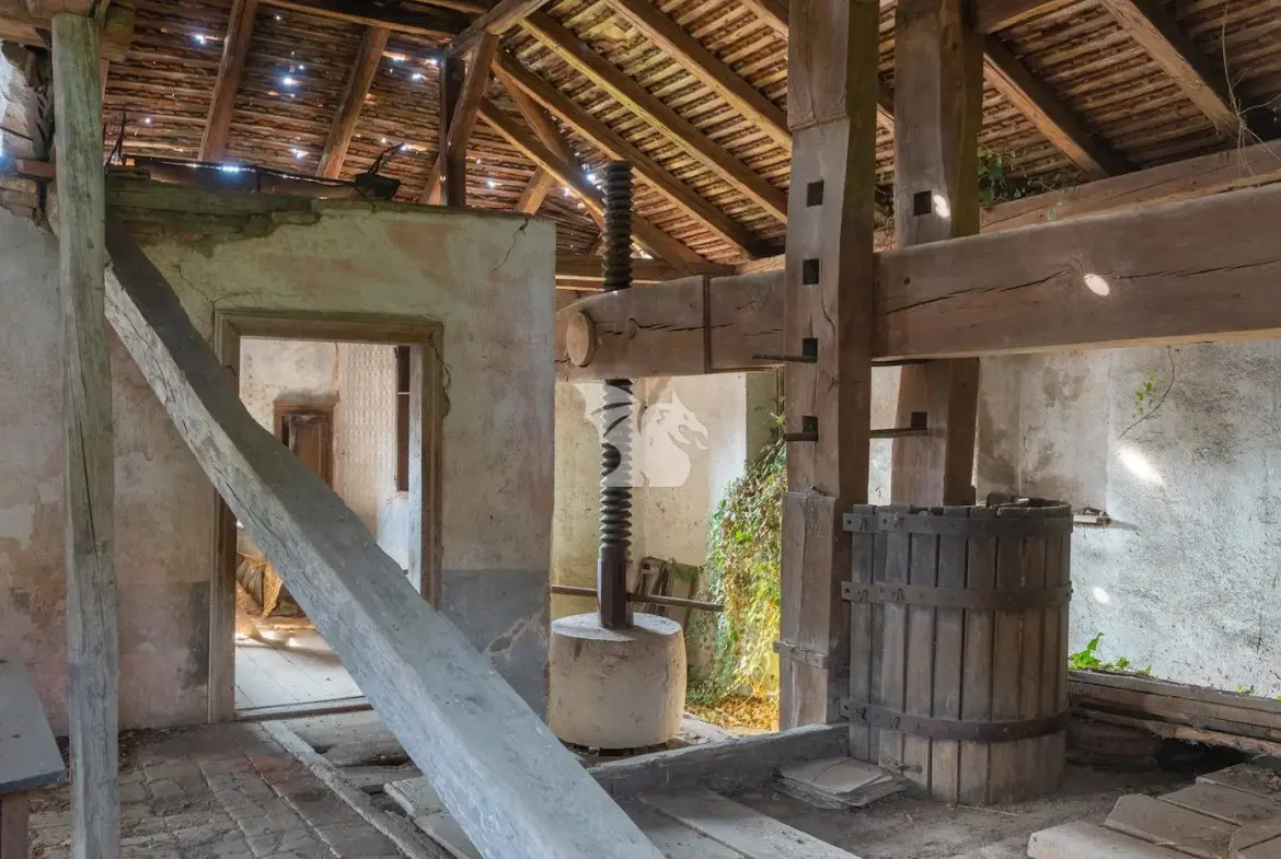 Land, For building – Zbelovska Gora, Savinjska