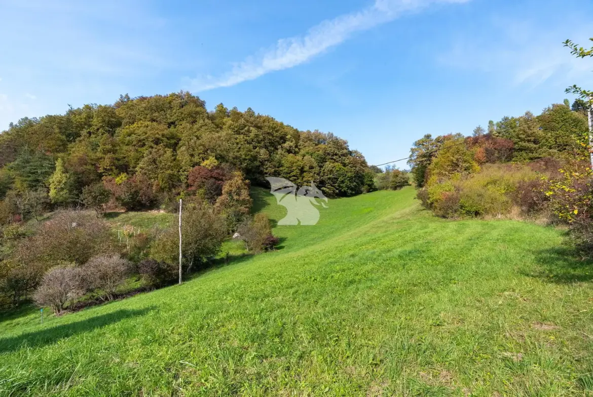 Land, For building – Zbelovska Gora, Savinjska