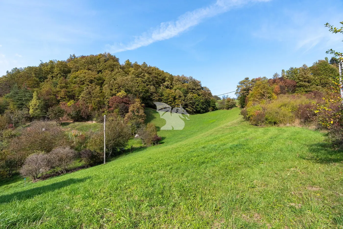 Land, For building – Zbelovska Gora, Savinjska