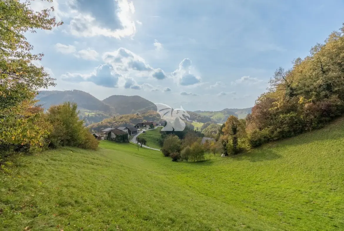 Land, For building – Zbelovska Gora, Savinjska