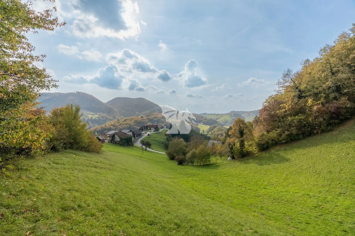 Land, For building – Zbelovska Gora, Savinjska