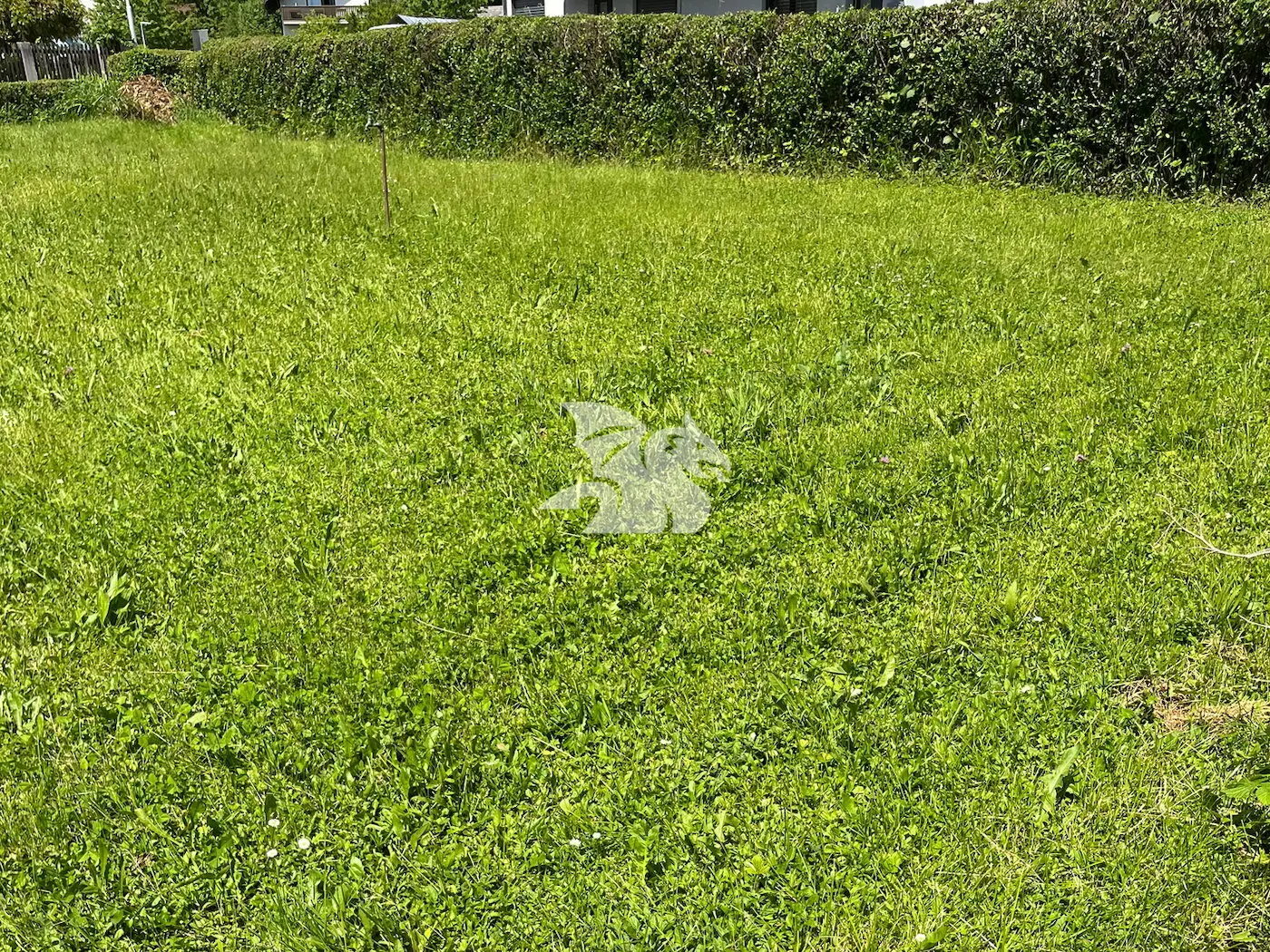 4884_3796351_0_b Land, For building – Zaboršt, Ljubljana – suburbs