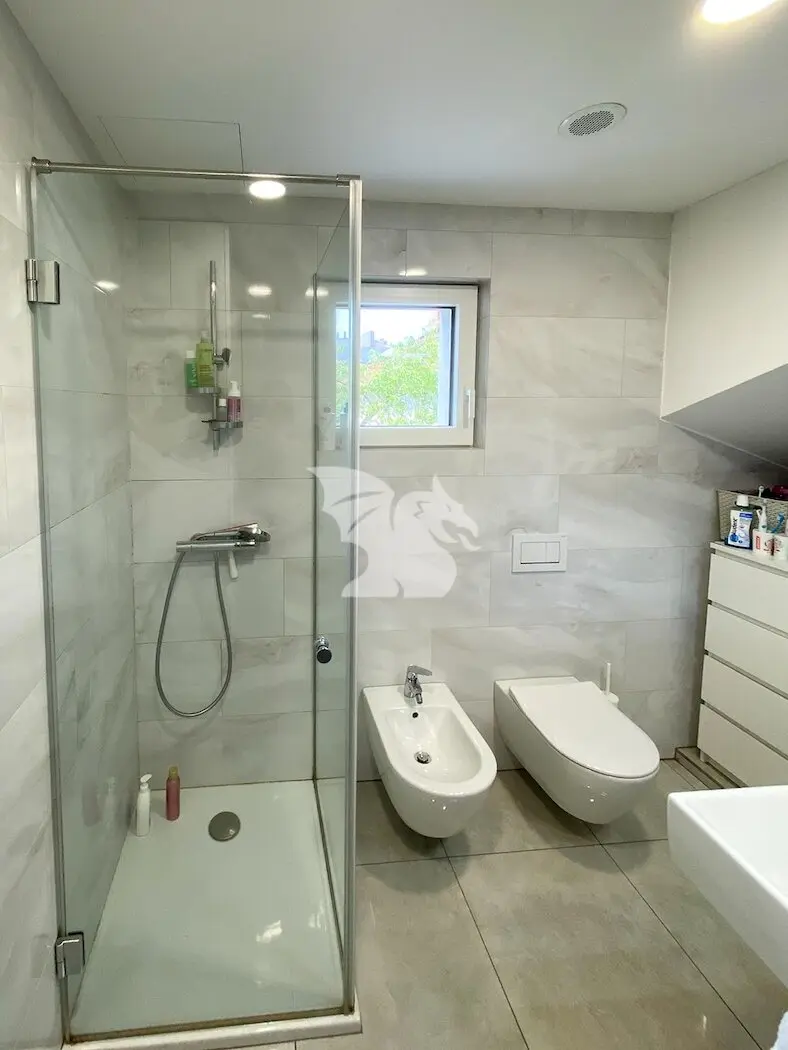 House, Double flat – Trnovo, Ljubljana