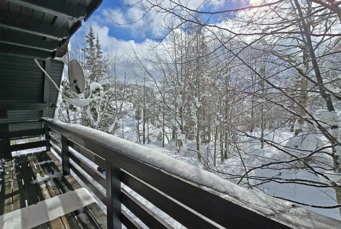 Bohinj area – Ski-In/Ski-Out Alpine Cottage in Vogel