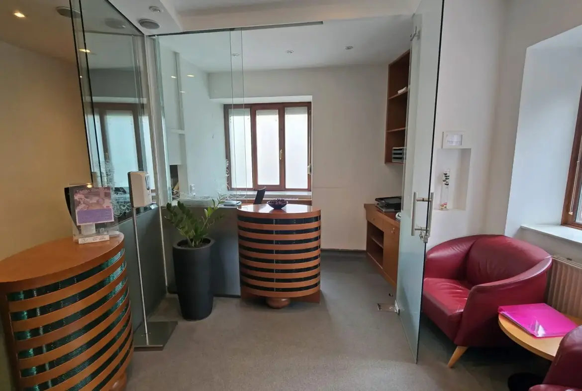 Ljubljana – Two charming houses in very popular area of Ljubljana