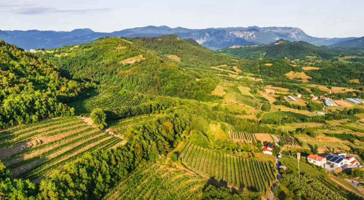 Vipava Valley – Exclusive Wine Estate Investment Opportunity