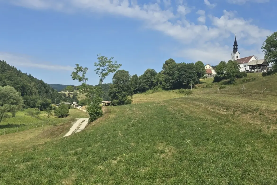 Ljubljana Area – Exceptional Country Estate with 5.5 Hectares