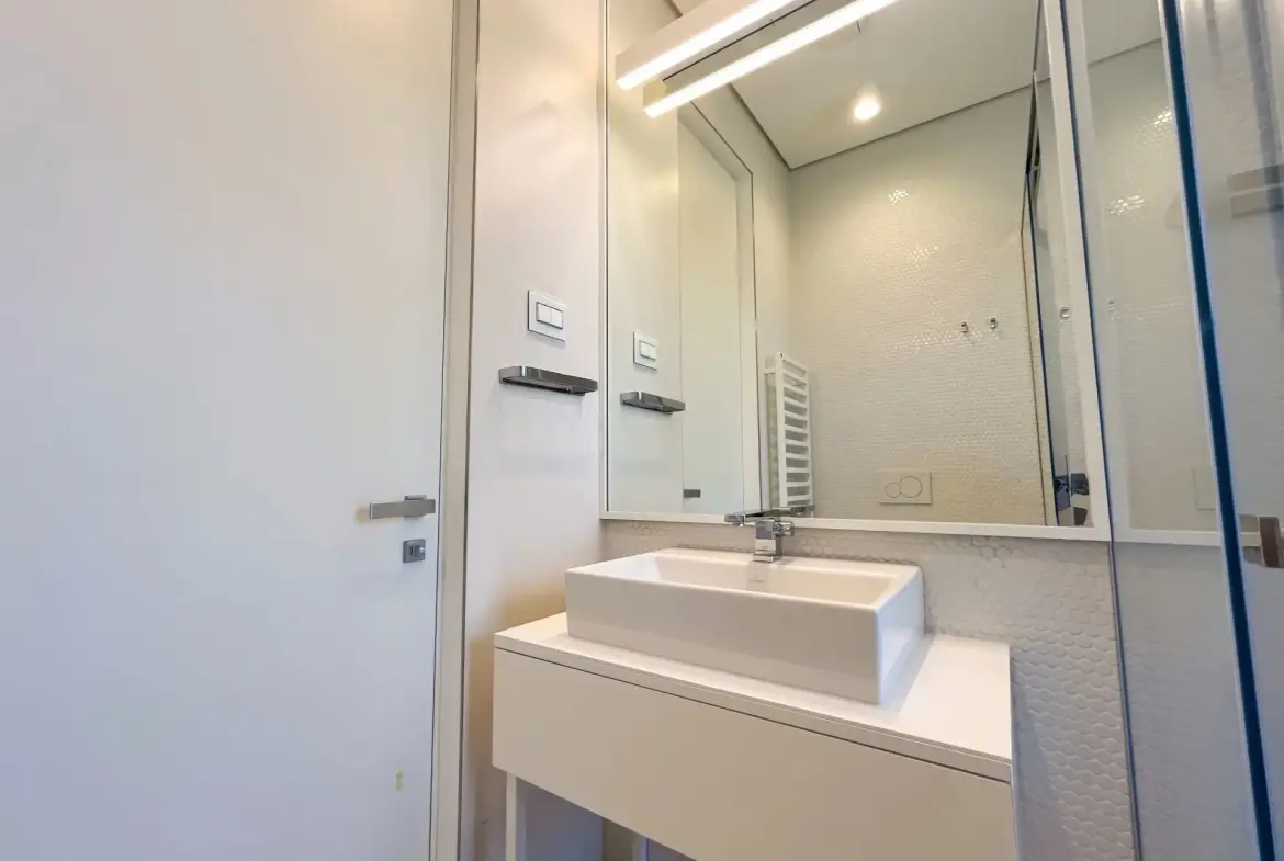 Modern three bedroom apartment