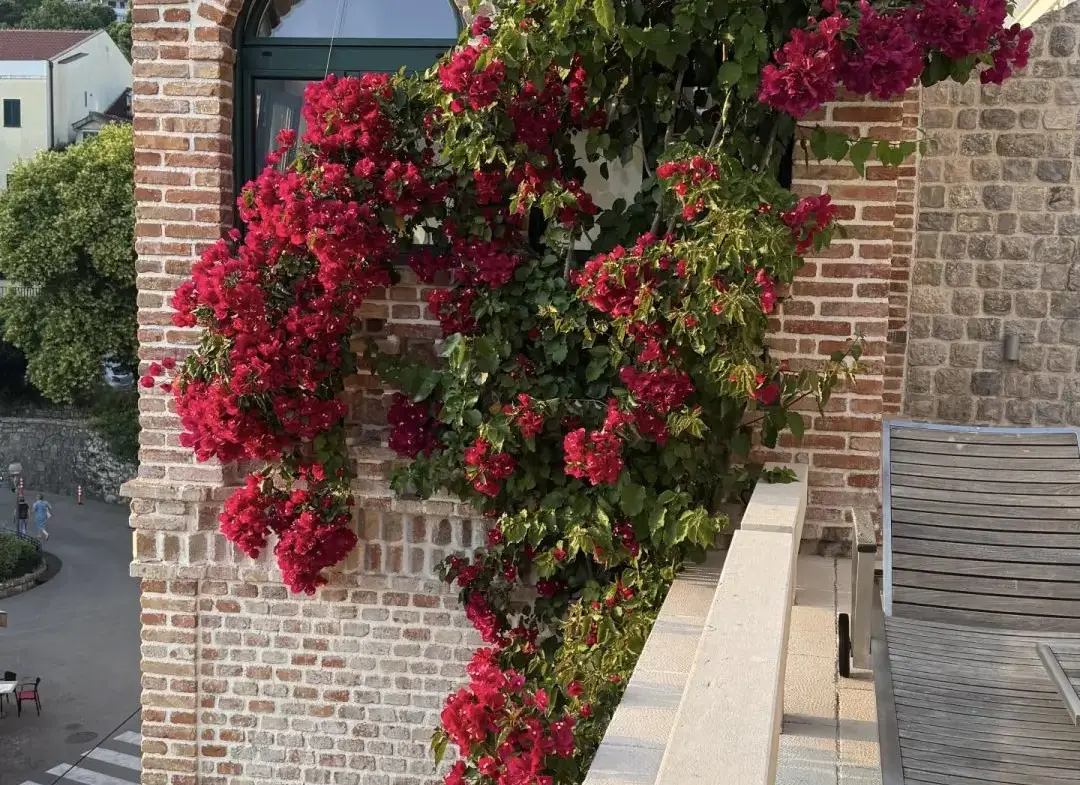 A Heritage Masterpiece in Montenegro’s Most Iconic Old Town