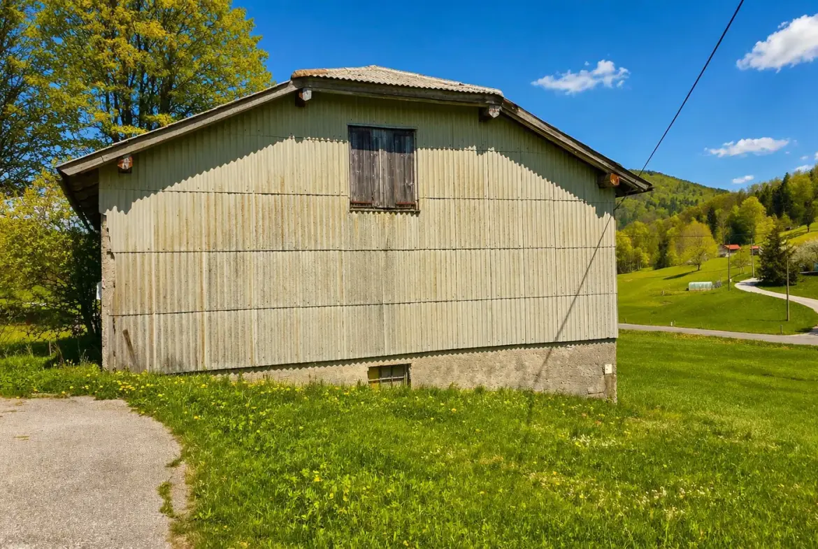 Nova Gorica area – Sweet cottage for renovation in Lokve
