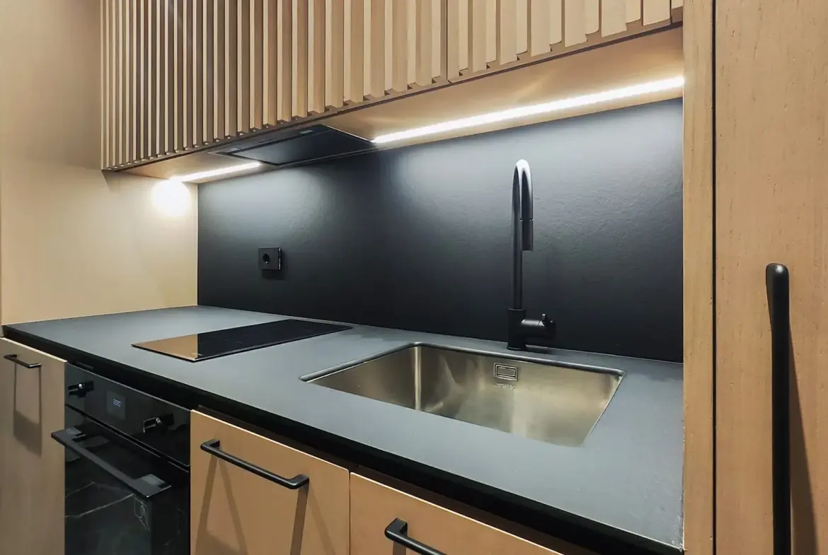 1-Bedroom Apartment, 46 m² – Nikole Tesle 12, Raska, Kopaonik