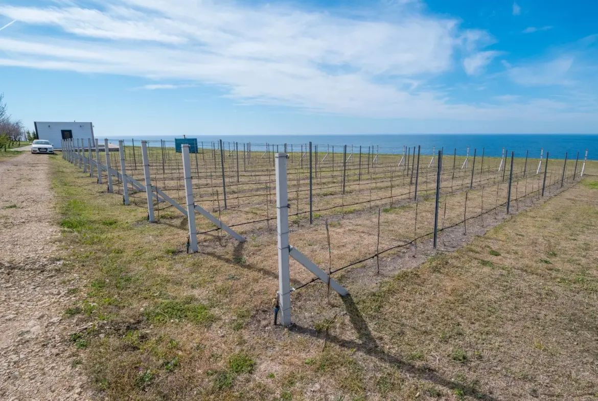 A stone jewel eight kilometers south of Cape Kaliakra for sale
