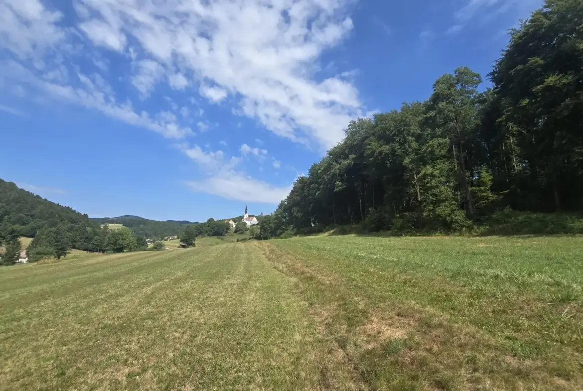 Ljubljana Area – Exceptional Country Estate with 5.5 Hectares