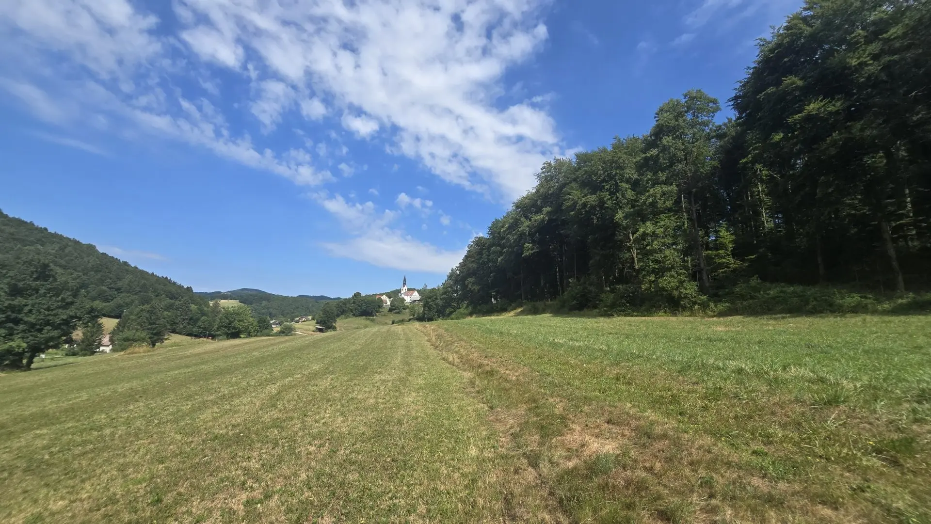 7-1-2 Ljubljana Area – Exceptional Country Estate with 5.5 Hectares