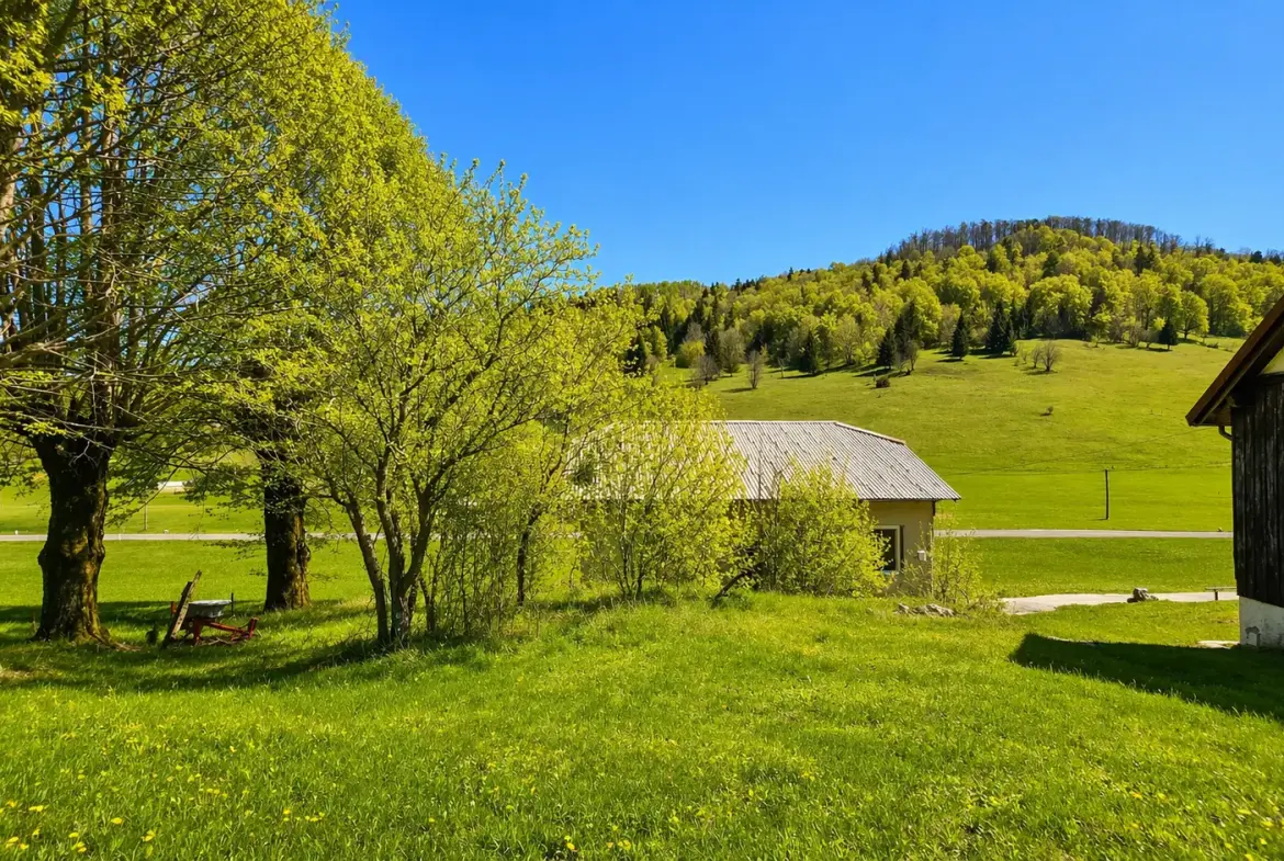Nova Gorica area – Sweet cottage for renovation in Lokve
