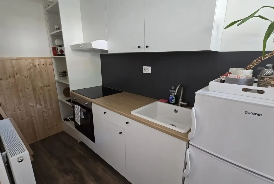 Idrija Area – Charming Riverside House