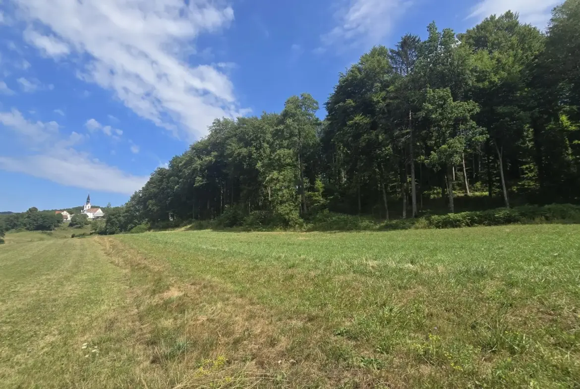 Ljubljana Area – Exceptional Country Estate with 5.5 Hectares
