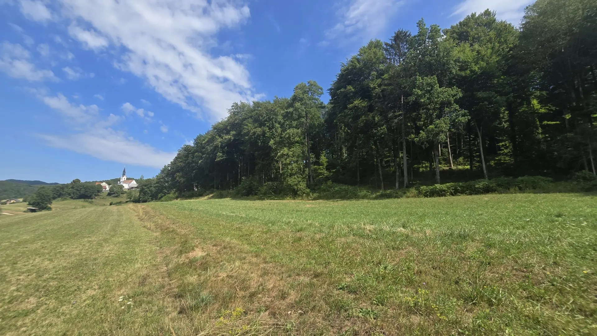 8-1-1 Ljubljana Area – Exceptional Country Estate with 5.5 Hectares