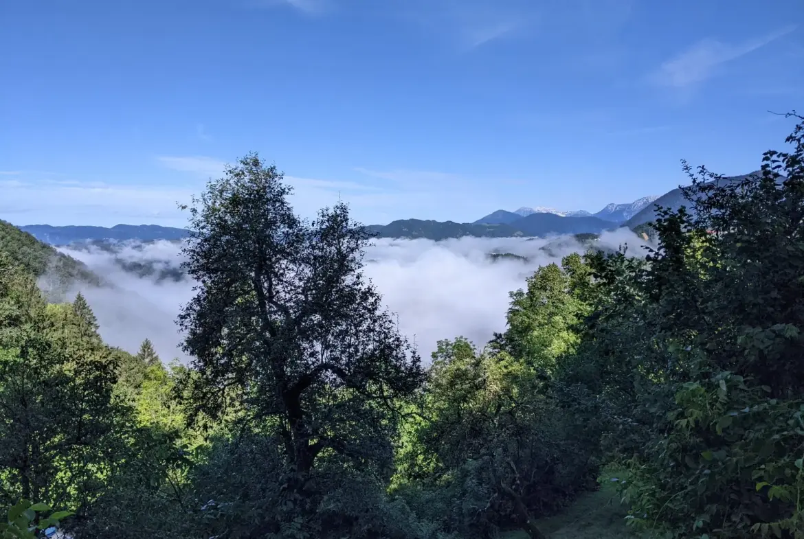 Cerkno Area – House in the forest with amazing Views
