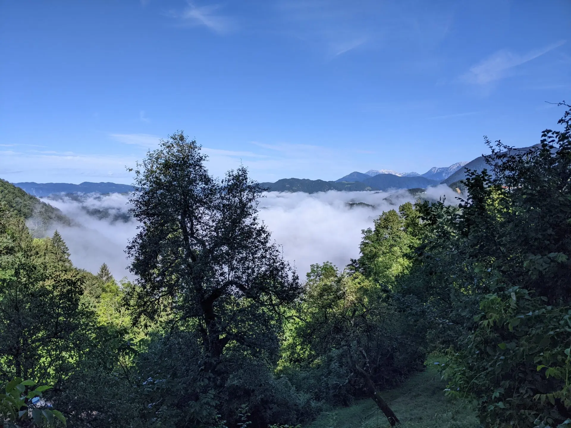 Cerkno Area – House in the forest with amazing Views