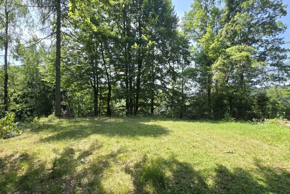 Cerkno and Železniki area – House in the forest with amazing Views