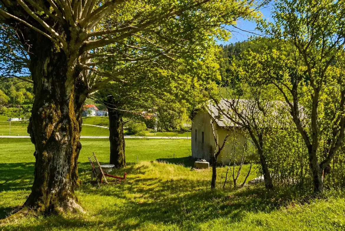 Nova Gorica area – Sweet cottage for renovation in Lokve